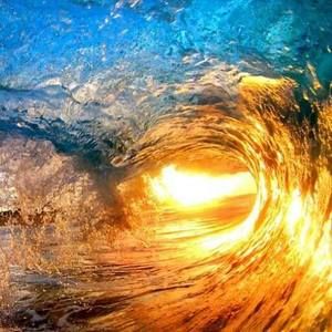 Meet your Posher, Daniella